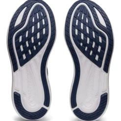 Asics EvoRide 2