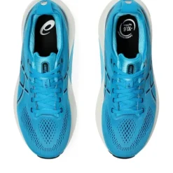 Asics Gel-Kayano 31