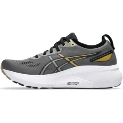 Asics Gel-Kayano 31