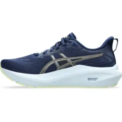 Asics GT-2000 13