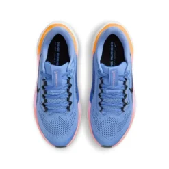 Nike Air Zoom Pegasus 41