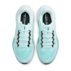 Nike Pegasus 41