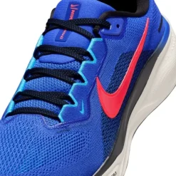 Nike Pegasus 41