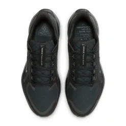 Nike Pegasus 41 Gore-Tex
