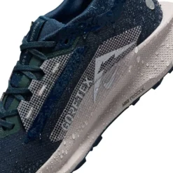 Nike Pegasus Trail 5 Gore-Tex