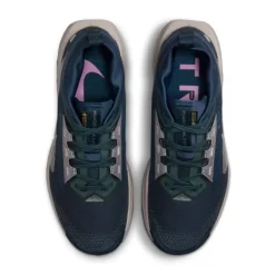 Nike Pegasus Trail 5 Gore-Tex