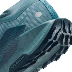 Nike Pegasus Trail 5 Gore-Tex