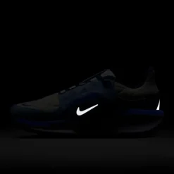 Nike Winflo 11 Gore-Tex