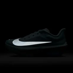 Nike Zoom Fly 6