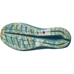 Salomon Aero Volt