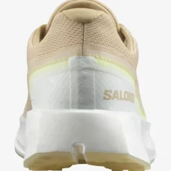 Salomon Index 02