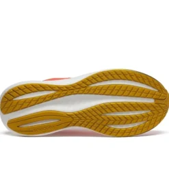 Saucony Triumph 22